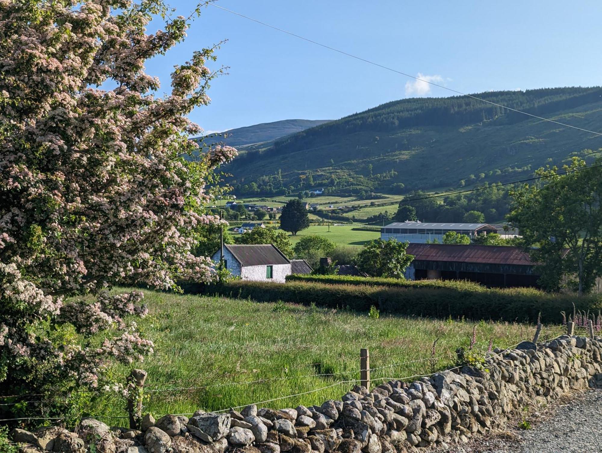 Killeavy Cottage Meigh Εξωτερικό φωτογραφία