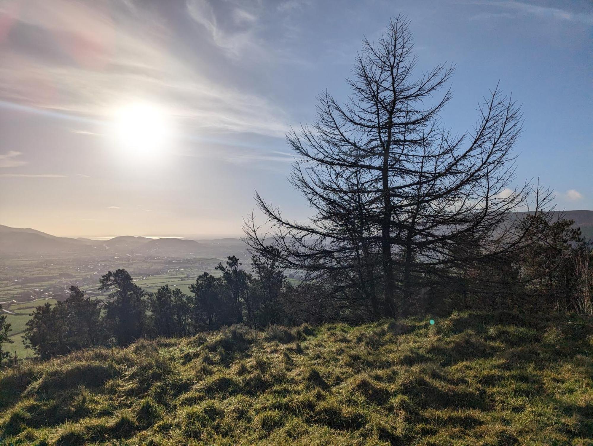 Killeavy Cottage Meigh Εξωτερικό φωτογραφία