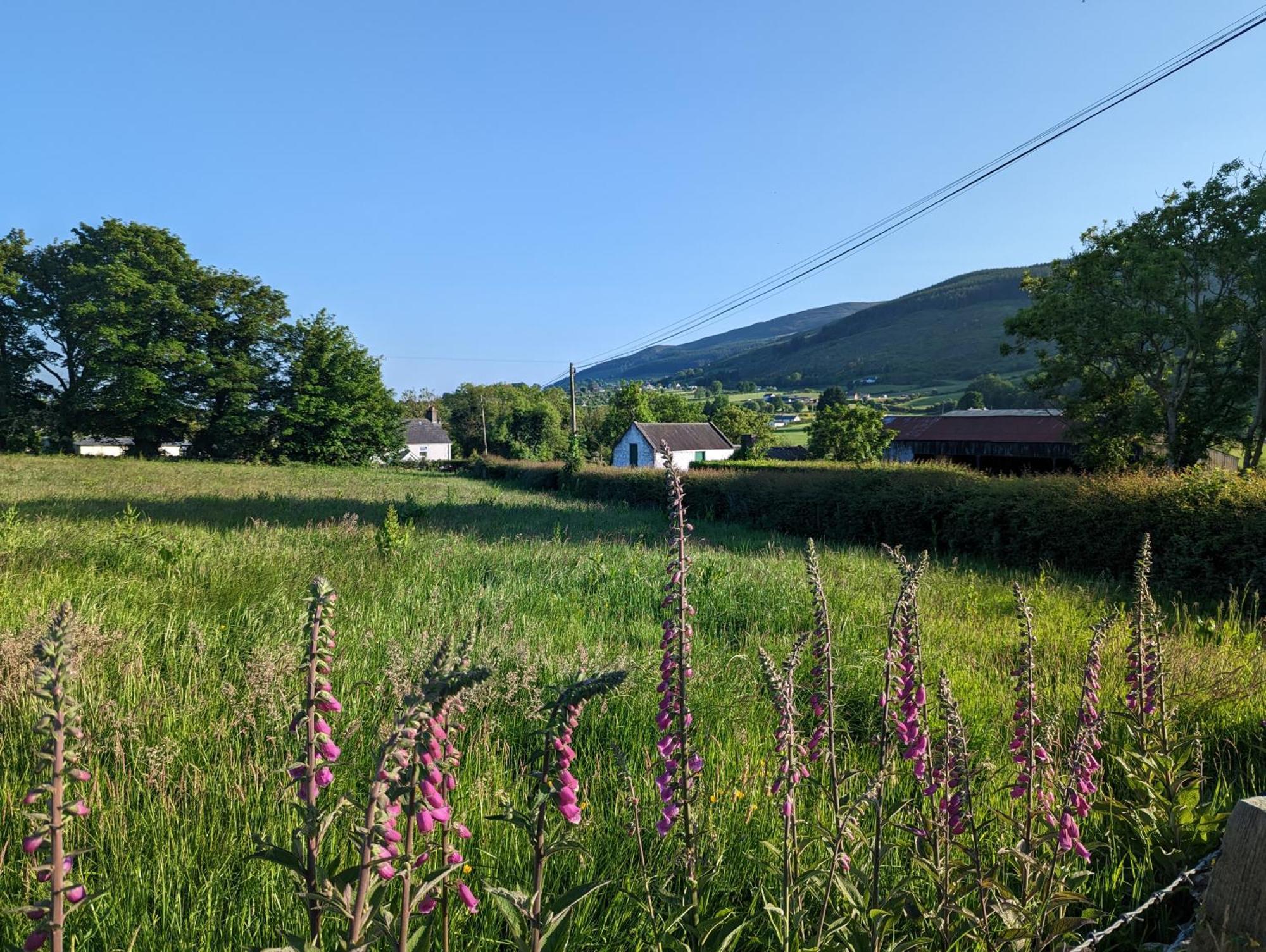 Killeavy Cottage Meigh Εξωτερικό φωτογραφία